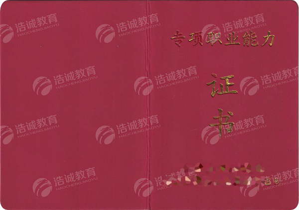 1666583656195297.jpg 专项能力证 封面.jpg